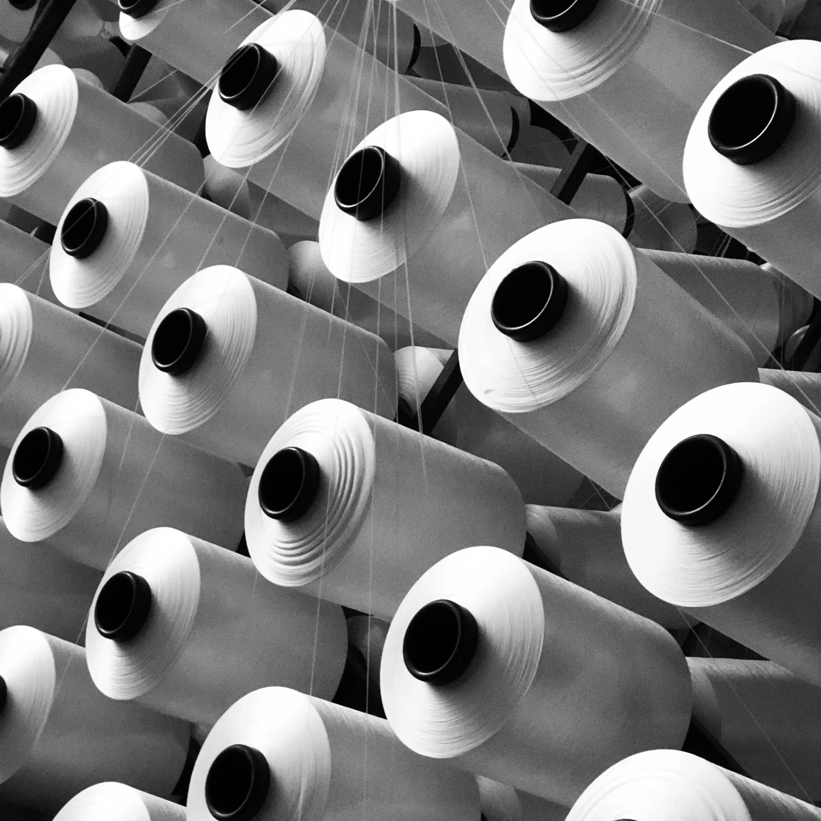 Polyester sewing thread · White